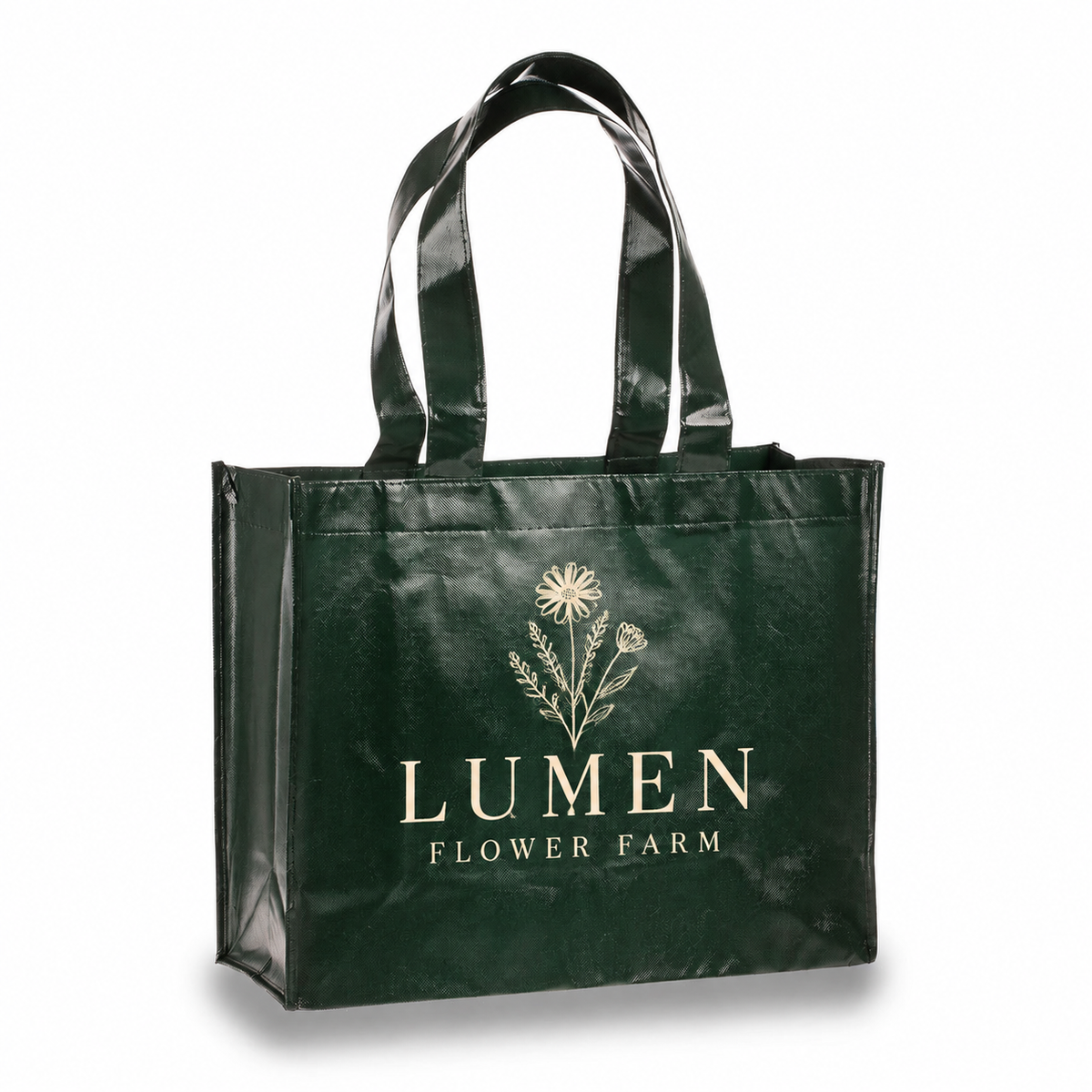 Medium Polypropylene Attractive Laminated Tote Bag (15.75'' W X 12.5'' H) 110 Gsm